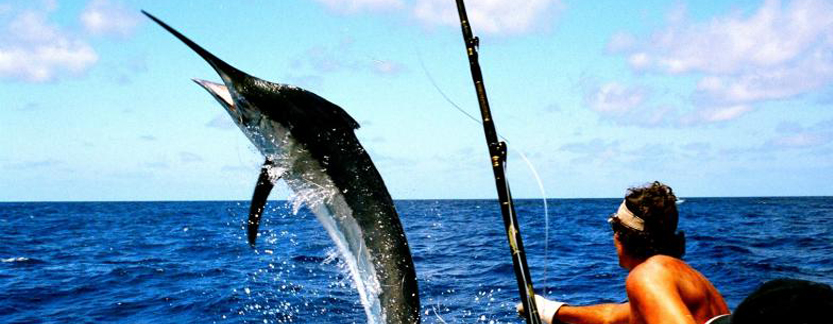 Fishing in Andaman   