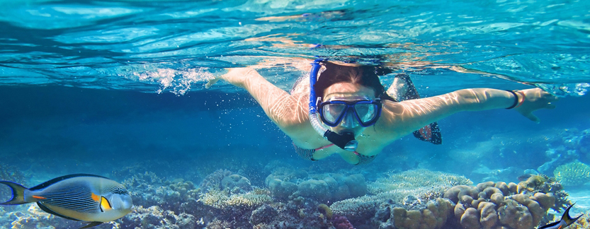 Snorkeling   