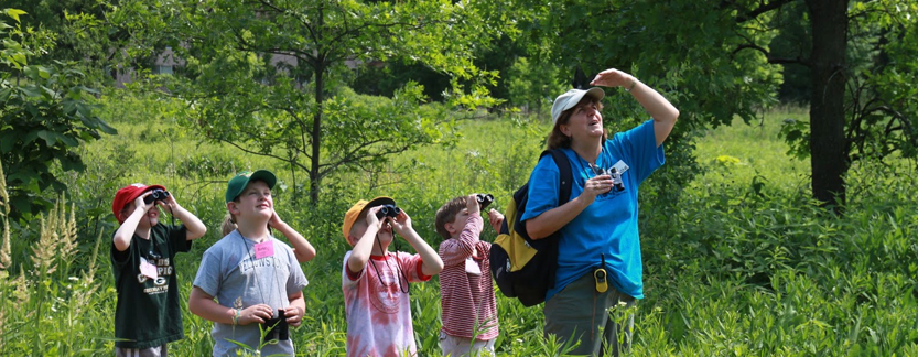 Bird Watching in Andaman  