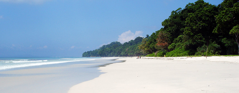 Radhanagar Beach 