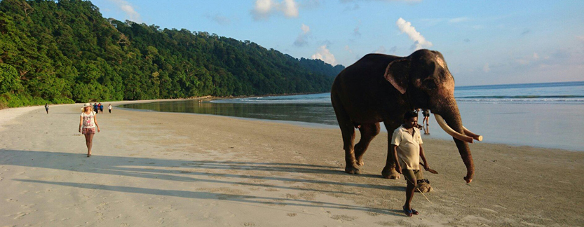 Elephanta Beach  