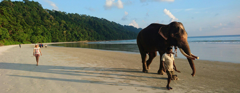 Relaxing Andaman Tour